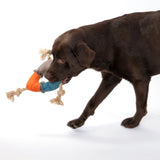 Brown dog playing with a colourful toy made of fabric and rope in orange, blue and grey.