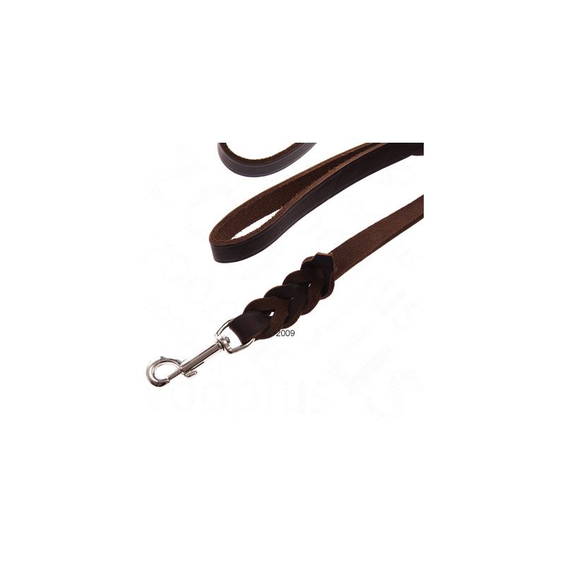 Brown leather lead with braided section and metal clip, showing handle loop and fastening mechanism.