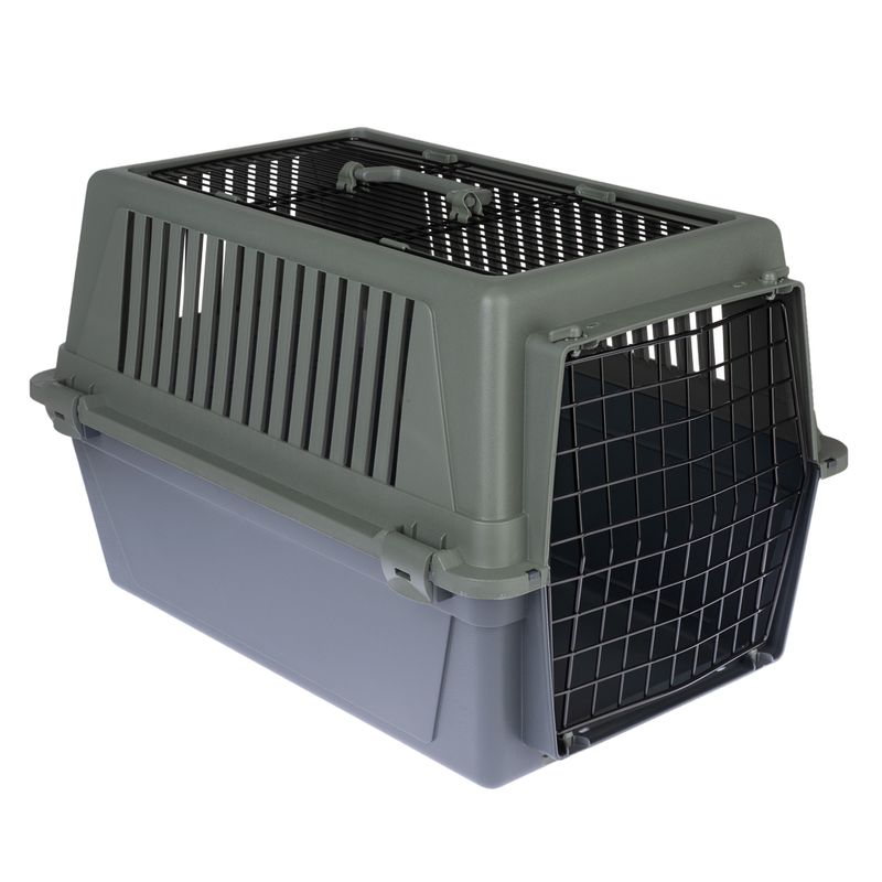 Transport box made of plastic with metal grid door, grey base and green lid, ventilation slots on the sides and carrying handle on top.