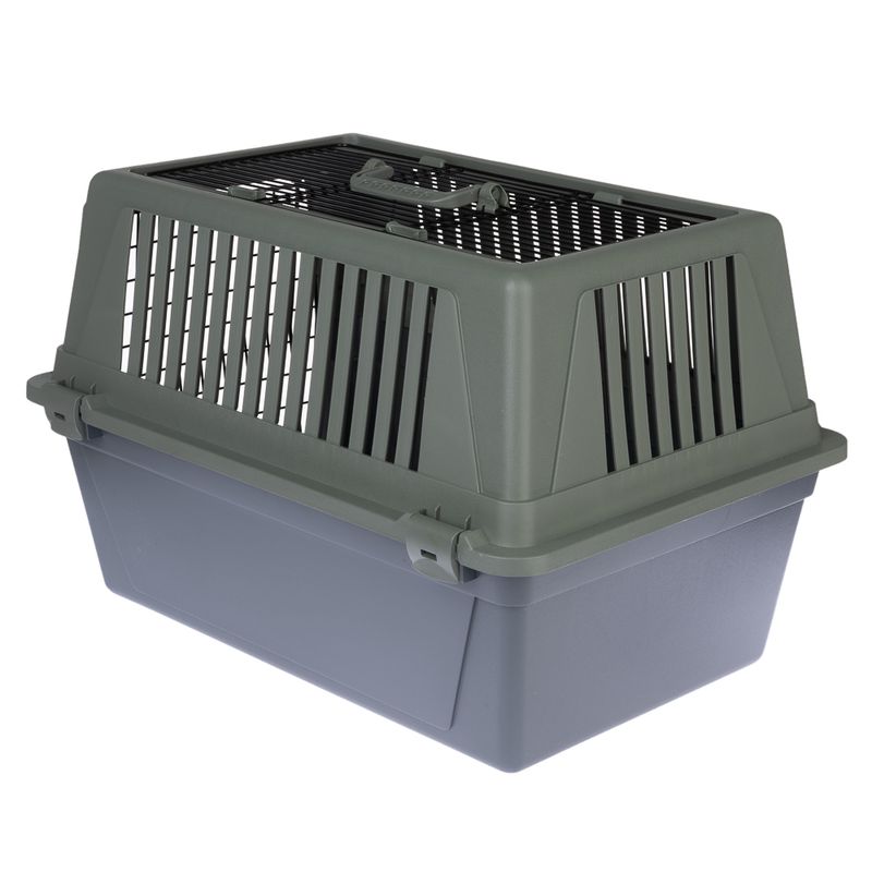 Plastic transport box with grey base and green top, ventilation slots on the sides and top, carrying handle on the top.