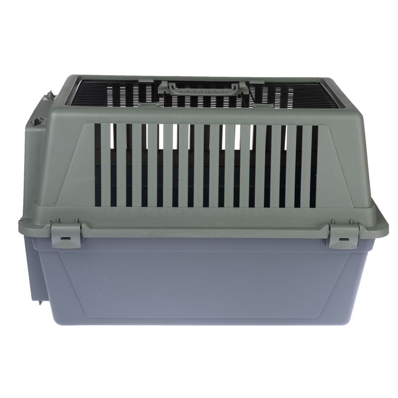 Plastic transport box with ventilation slots and carrying handle, grey-green colour.
