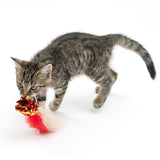 Tabby cat playing with a red and white feather toy with shiny golden accents.