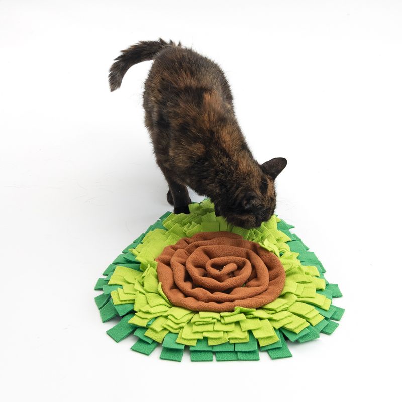 Cat examining a green and brown fabric snuffle mat, suitable for interactive play or hiding food.