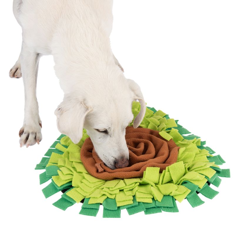Dog sniffs a green and brown fabric snuffle mat, suitable for search games and activity.