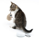 Kitten playing with a sloth-shaped plush toy, next to it another white plush toy with an elastic loop.