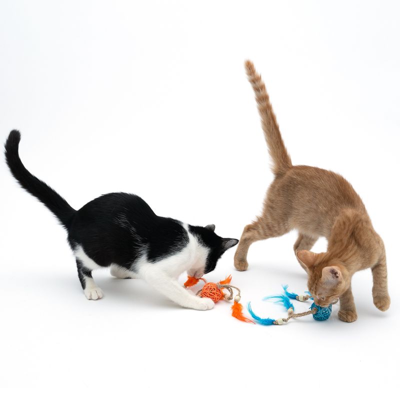 Two cats playing with a toy made of colourful feathers and braided balls in orange and blue.