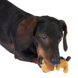 Dog playing with a small brown fabric dog toy.
