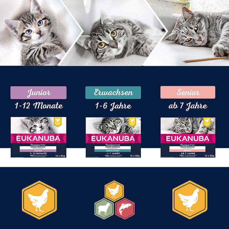 Eukanuba Grain Free Adult - Chicken || undefined || view 2