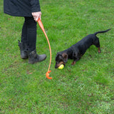 Person using an orange ball launcher while a dog plays with a yellow tennis ball on a lawn.