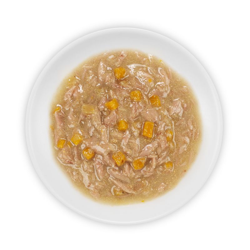 Close-up of a plate with wet food, consisting of meat pieces and orange vegetable cubes in sauce.