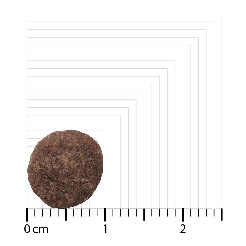 A single round piece of dry food on a scale, diameter about 1.5 cm.