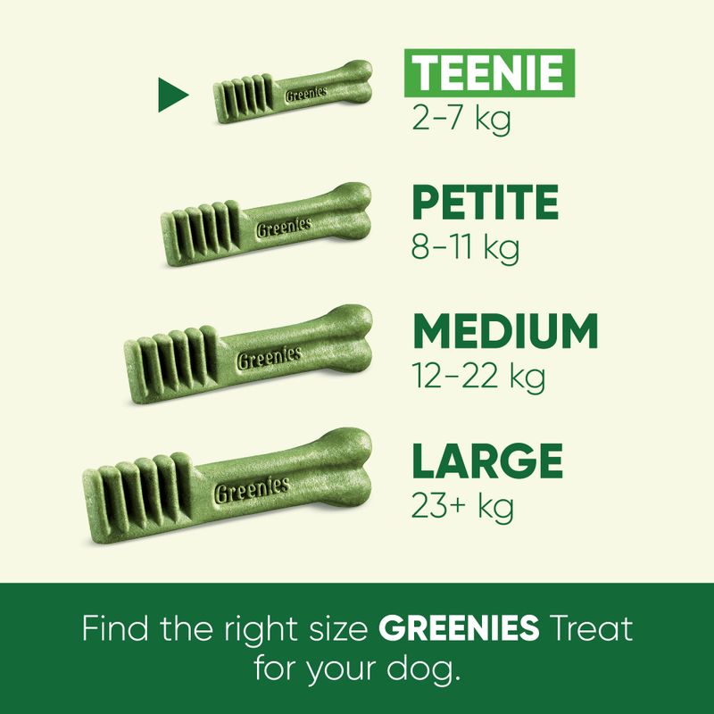 Greenies Canine Dental Chews || Greenies || view 7
