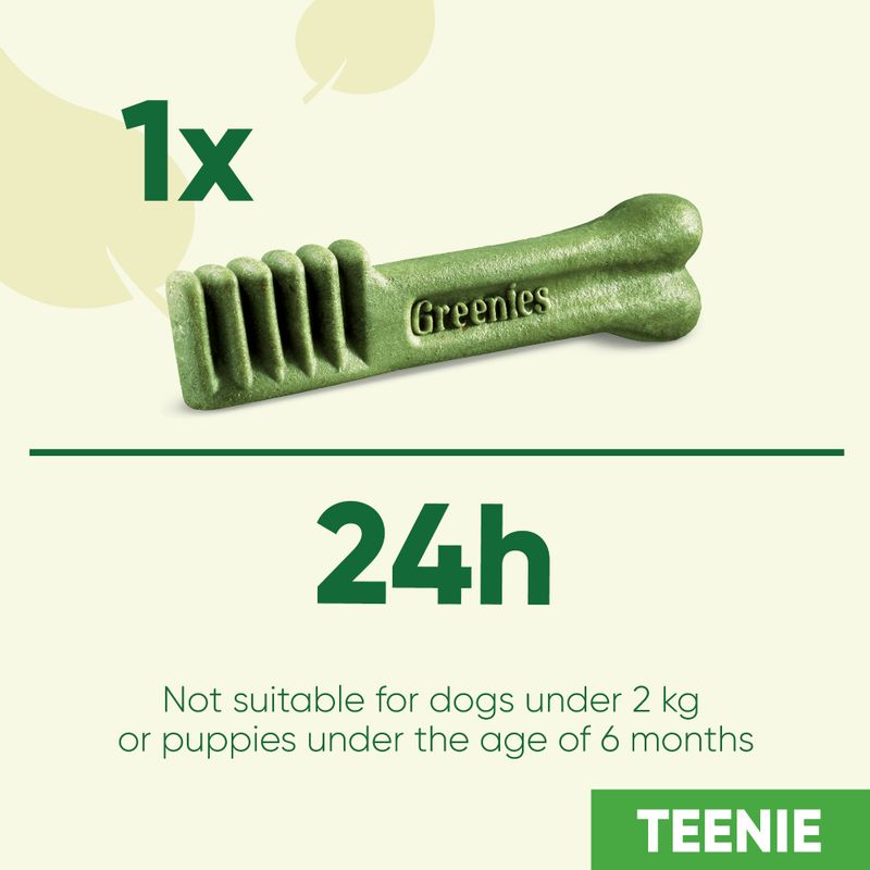 Greenies Canine Dental Chews || Greenies || view 3