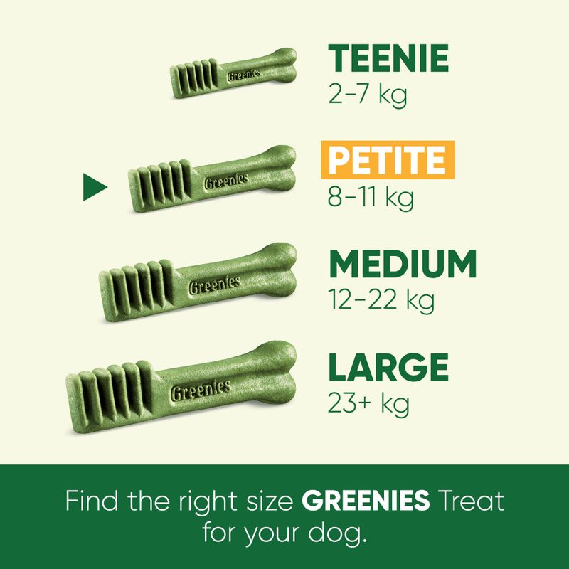 Greenies Canine Dental Chews || Greenies || view 16