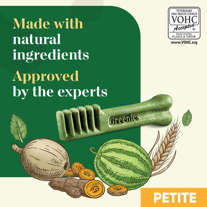 Greenies Canine Dental Chews || Greenies || view 17