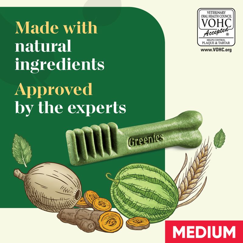 Greenies Canine Dental Chews || Greenies || view 26