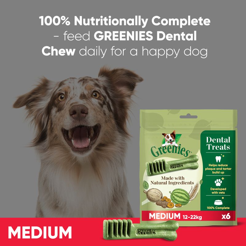 Greenies Canine Dental Chews || Greenies || view 27