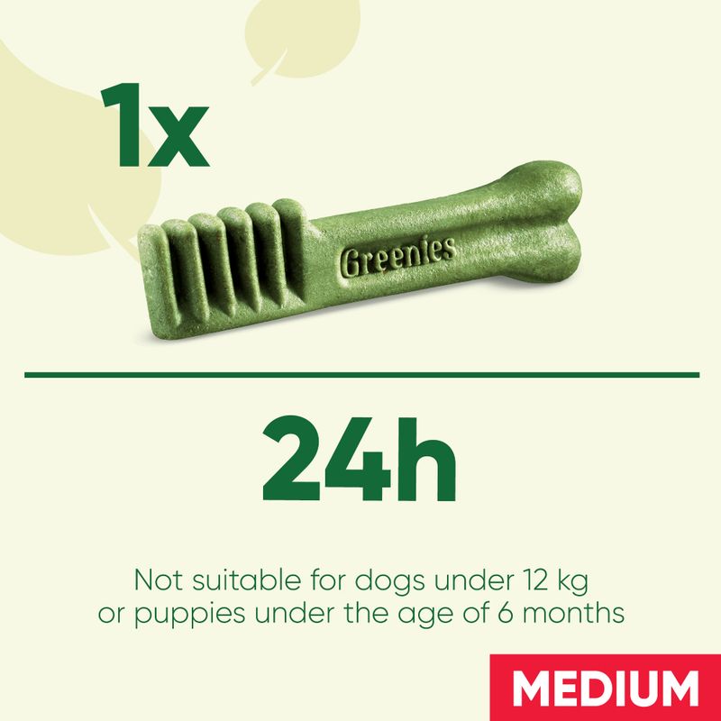 Greenies Canine Dental Chews || Greenies || view 21