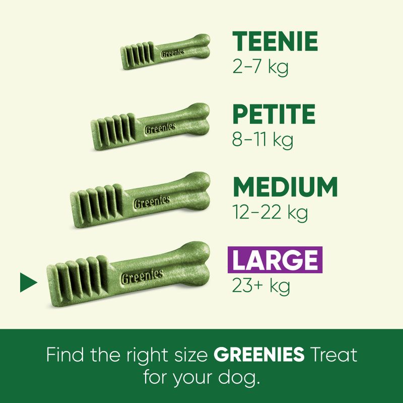 Greenies Canine Dental Chews || Greenies || view 34