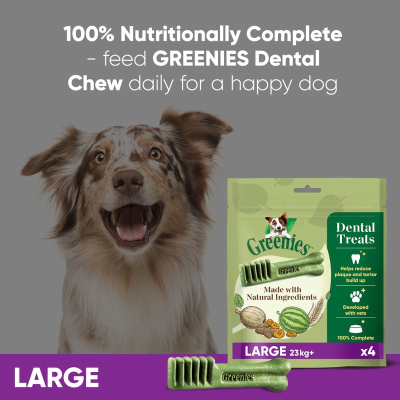 Greenies Canine Dental Chews || Greenies || view 36
