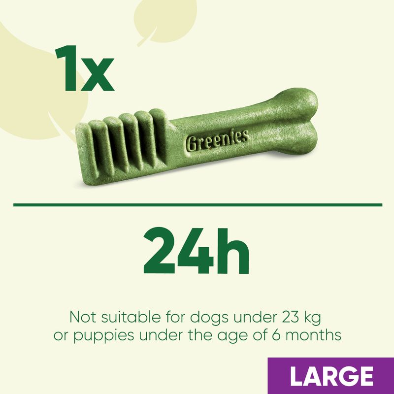 Greenies Canine Dental Chews || Greenies || view 30