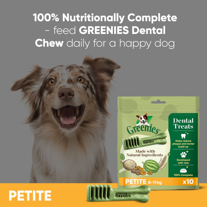 Greenies Canine Dental Chews || Greenies || view 45
