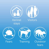 ADAPTIL® Calm Collar || Adaptil || view 13