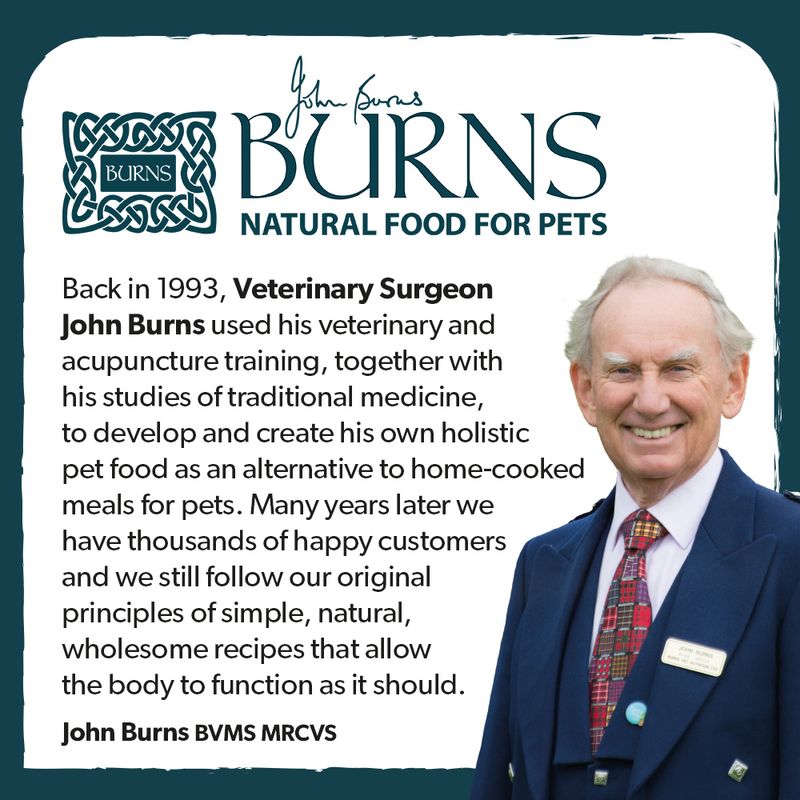 Burns Adult & Senior Sensitive - Fish & Wholegrain Maize || Burns || view 9