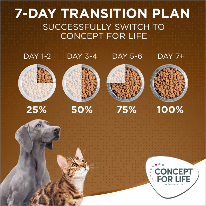Concept for Life Medium Senior || Concept for Life || view 13