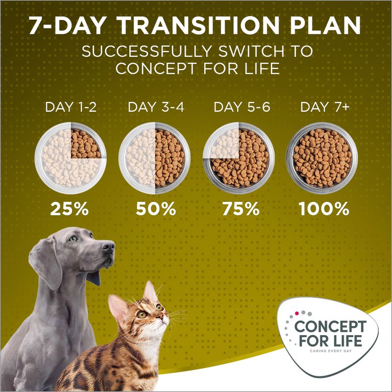Concept for Life Mini Adult || Concept for Life || view 13