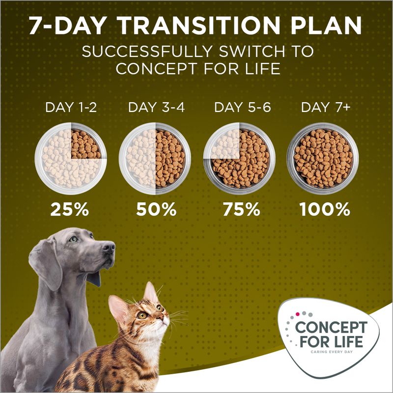 Concept for Life Mini Senior || Concept for Life || view 11