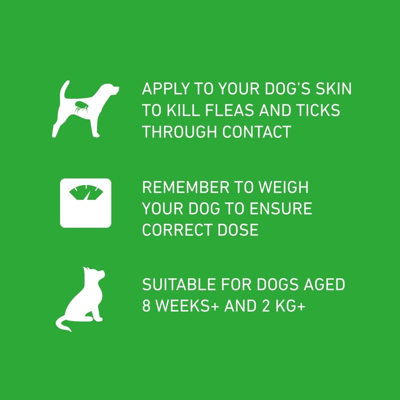 FRONTLINE® Plus Spot On for Dogs - L (20-40kg) || Frontline || view 4