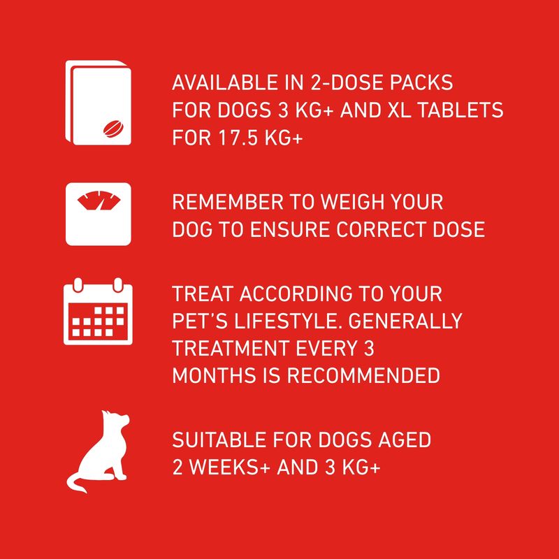 FRONTLINE® Wormer XL Tablets for Dogs || Frontline || view 3