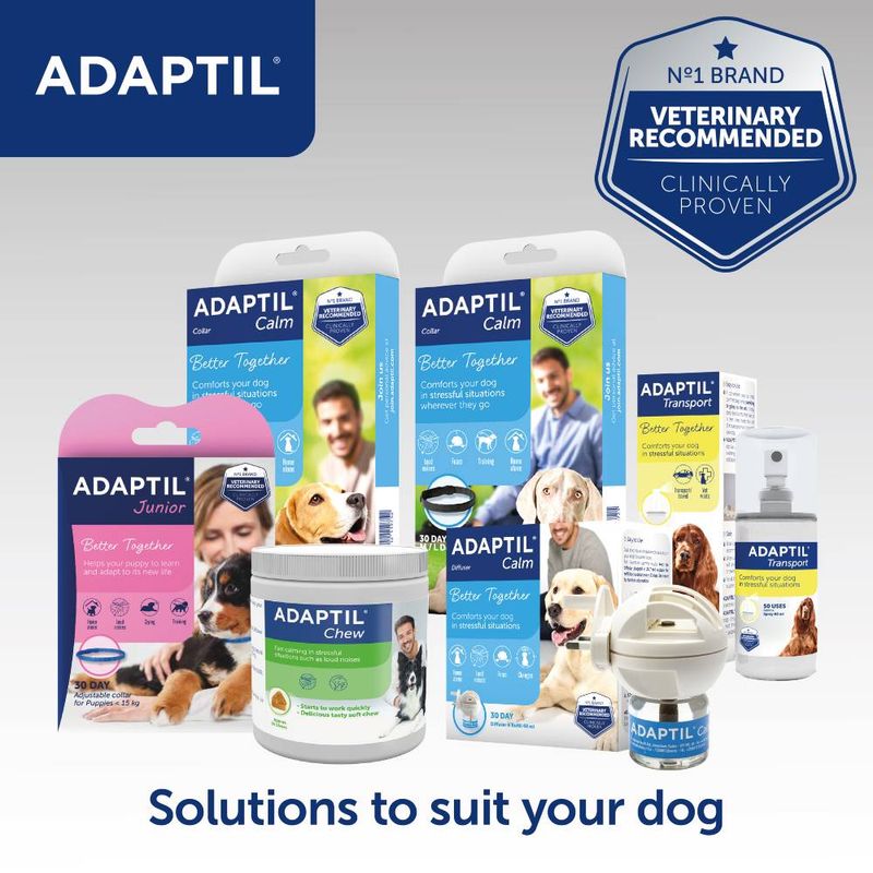 ADAPTIL® Calm Collar || Adaptil || view 7