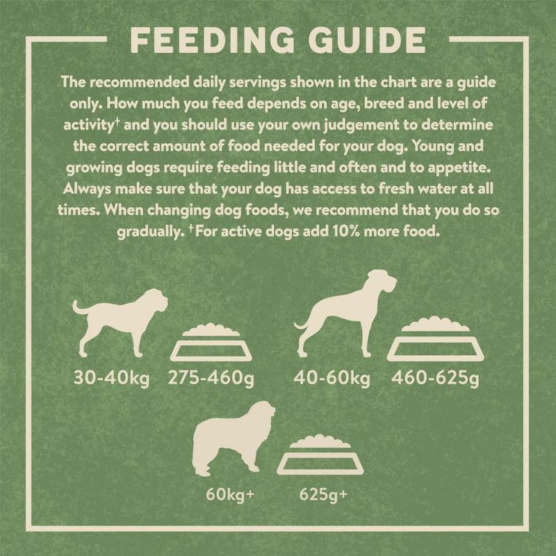 Harringtons Complete Large Adult Dog - Rich in Chicken & Rice || Harringtons || view 6