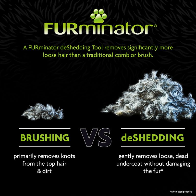 FURminator DeShedding Tool - Short Hair Cats || FURminator || view 10