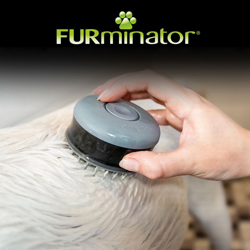 Hand using a round grooming brush with short bristles on wet animal fur, demonstrating how to use the product for washing or brushing.