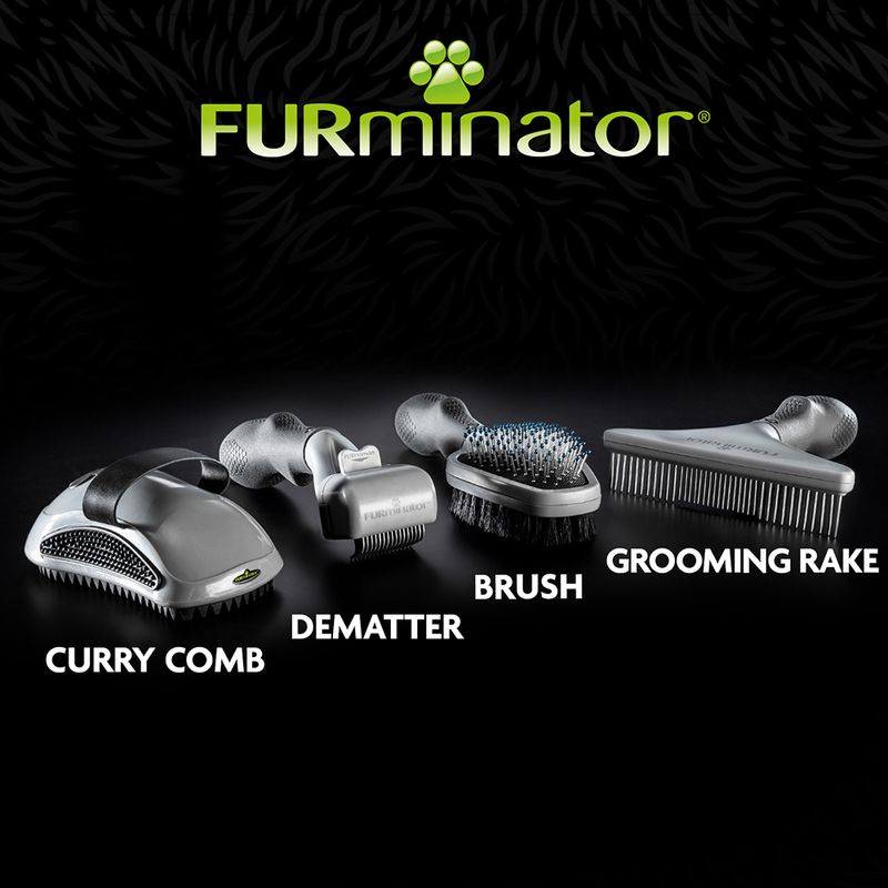 FURminator grooming tools shown with labels: curry comb, dematter, brush, and grooming rake. Each tool is displayed separately for comparison.
