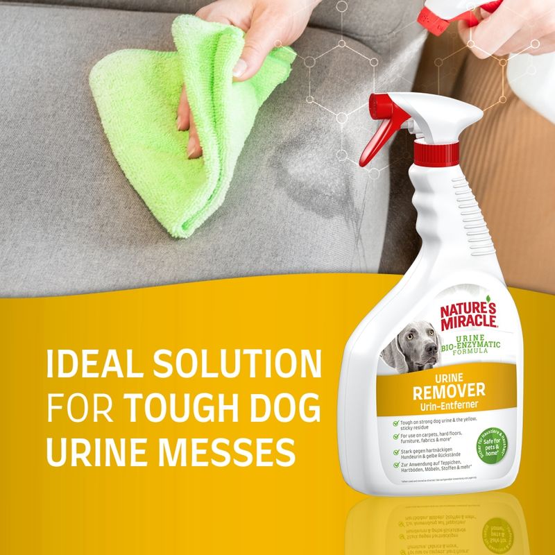 Nature's Miracle Dog Urine Stain and Odour Remover || Nature's Miracle || view 6
