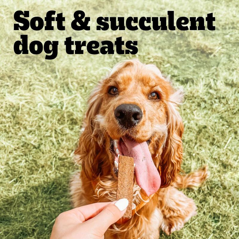Pedigree Schmackos || undefined || view 6