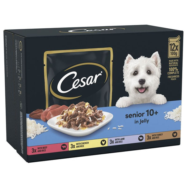 Cesar 10+ Senior Selection in Jelly || Cesar || view 1