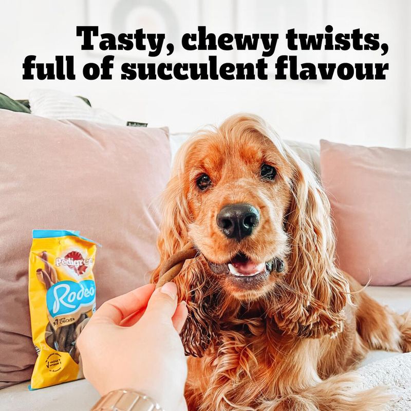 Pedigree Rodeo Duos Treats || Pedigree || view 7