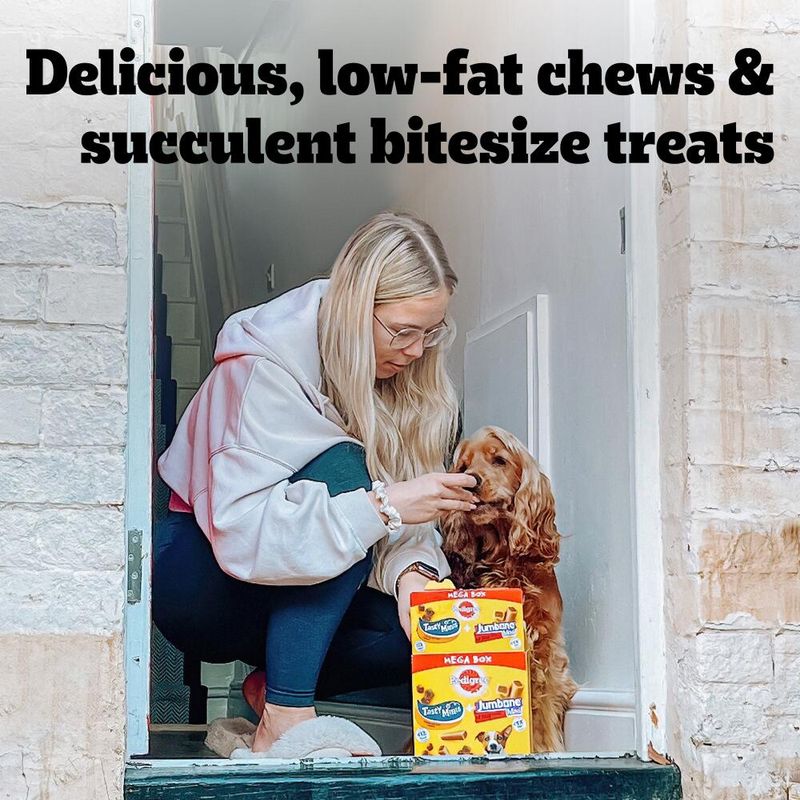 Pedigree Mega Box - Tasty Minis & Jumbone Mini || Pedigree || view 7