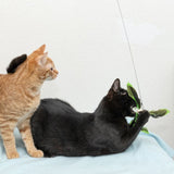 Two cats play with a green feather toy on a string. A black cat grabs the toy while an orange cat watches.