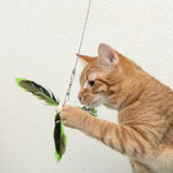 Red cat playing with a teaser wand with green and black feathers.