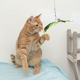 Red cat playing with a hanging cat toy made of green and black feathers, attached to a string.