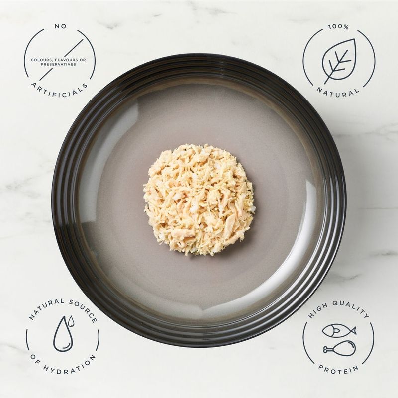 Encore Cat Pouch in Broth 10 x 50g