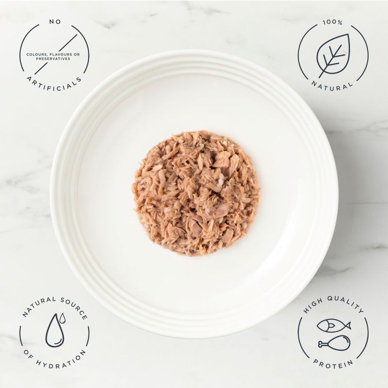 Encore Cat Pouch in Broth 10 x 50g