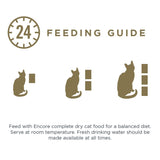 Encore Cat Jelly Pouch Multipack 20 x 50g || Encore || view 11