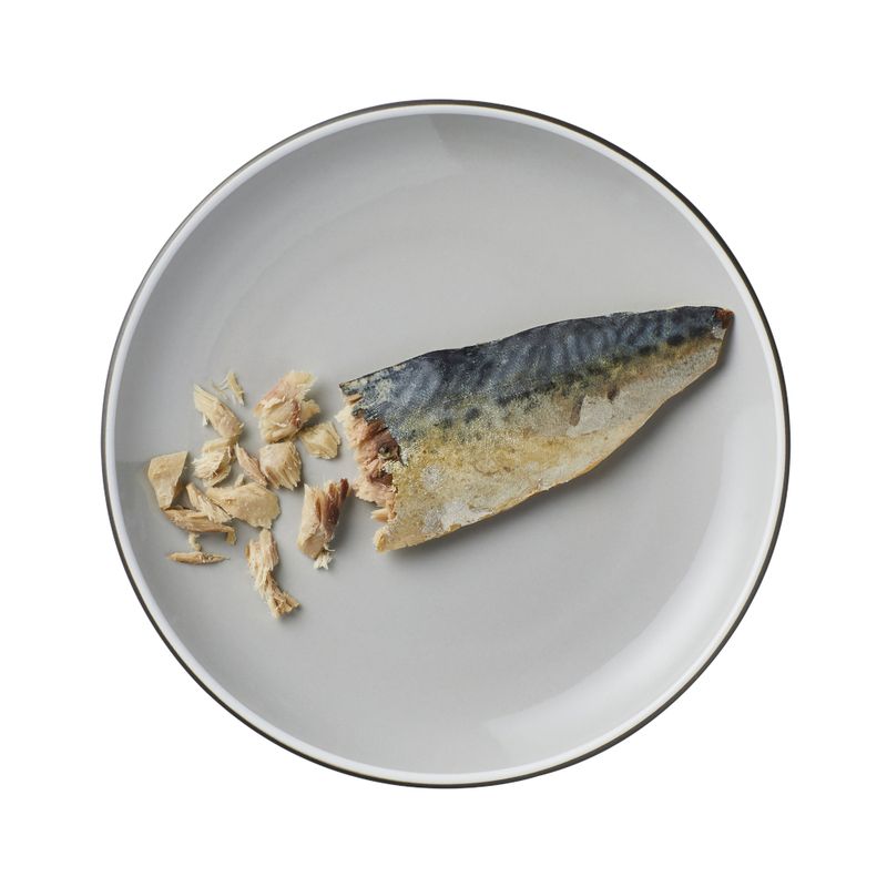 Encore Cat Mackerel Loin || Encore || view 3
